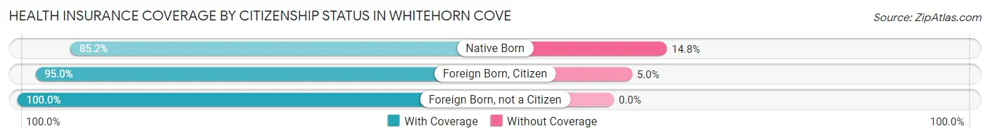 Health Insurance Coverage by Citizenship Status in Whitehorn Cove