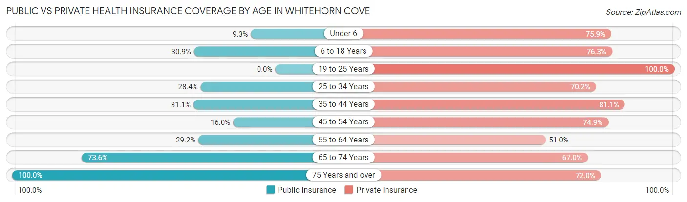 Public vs Private Health Insurance Coverage by Age in Whitehorn Cove