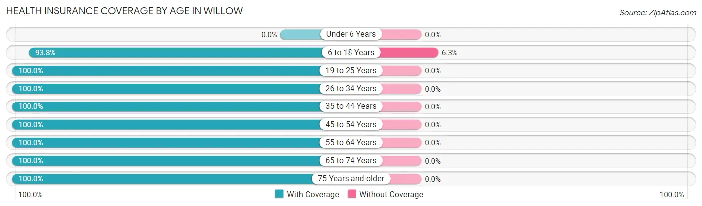 Health Insurance Coverage by Age in Willow