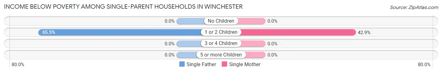 Income Below Poverty Among Single-Parent Households in Winchester