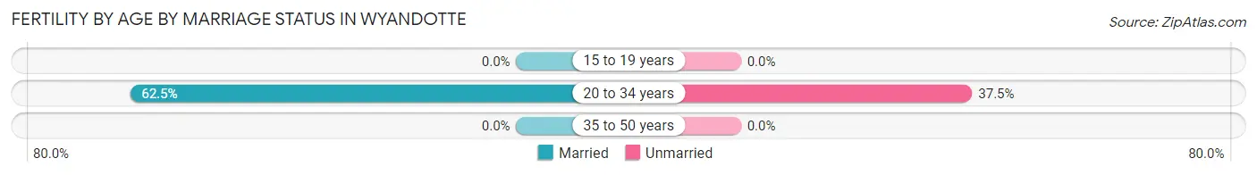 Female Fertility by Age by Marriage Status in Wyandotte