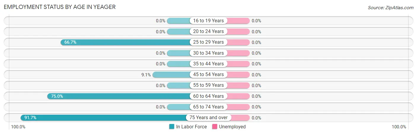 Employment Status by Age in Yeager