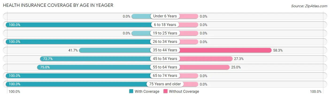Health Insurance Coverage by Age in Yeager