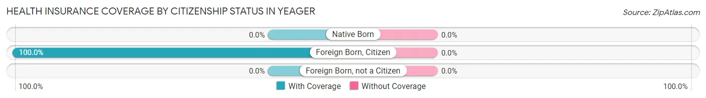 Health Insurance Coverage by Citizenship Status in Yeager