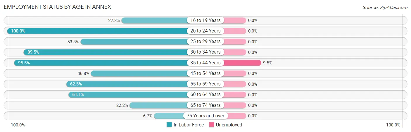 Employment Status by Age in Annex