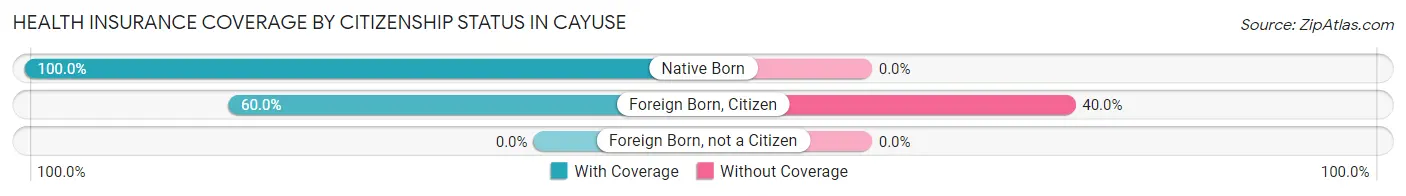 Health Insurance Coverage by Citizenship Status in Cayuse