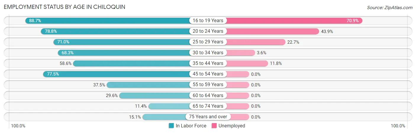 Employment Status by Age in Chiloquin