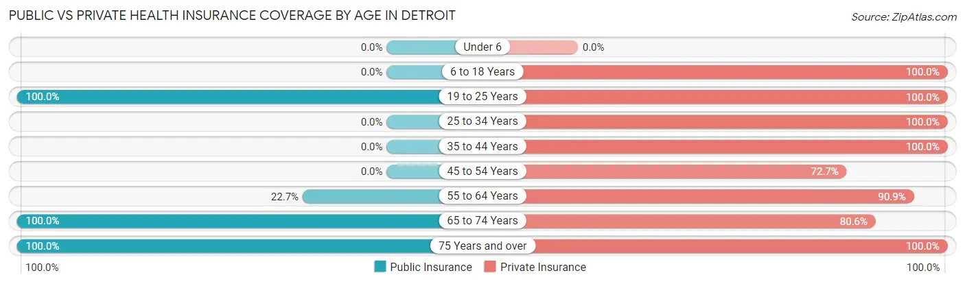 Public vs Private Health Insurance Coverage by Age in Detroit