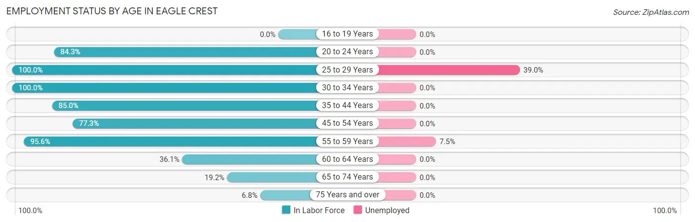 Employment Status by Age in Eagle Crest