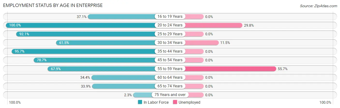 Employment Status by Age in Enterprise