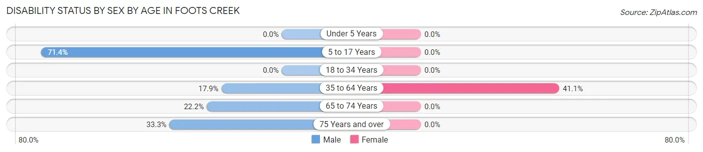 Disability Status by Sex by Age in Foots Creek