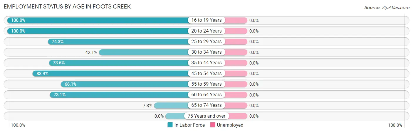 Employment Status by Age in Foots Creek