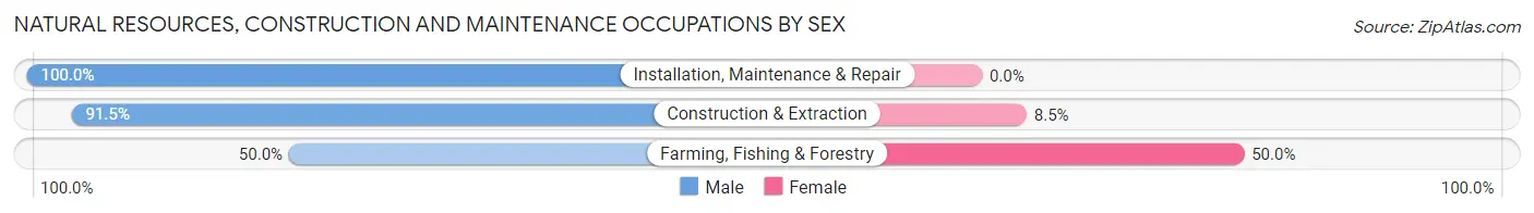 Natural Resources, Construction and Maintenance Occupations by Sex in Gearhart