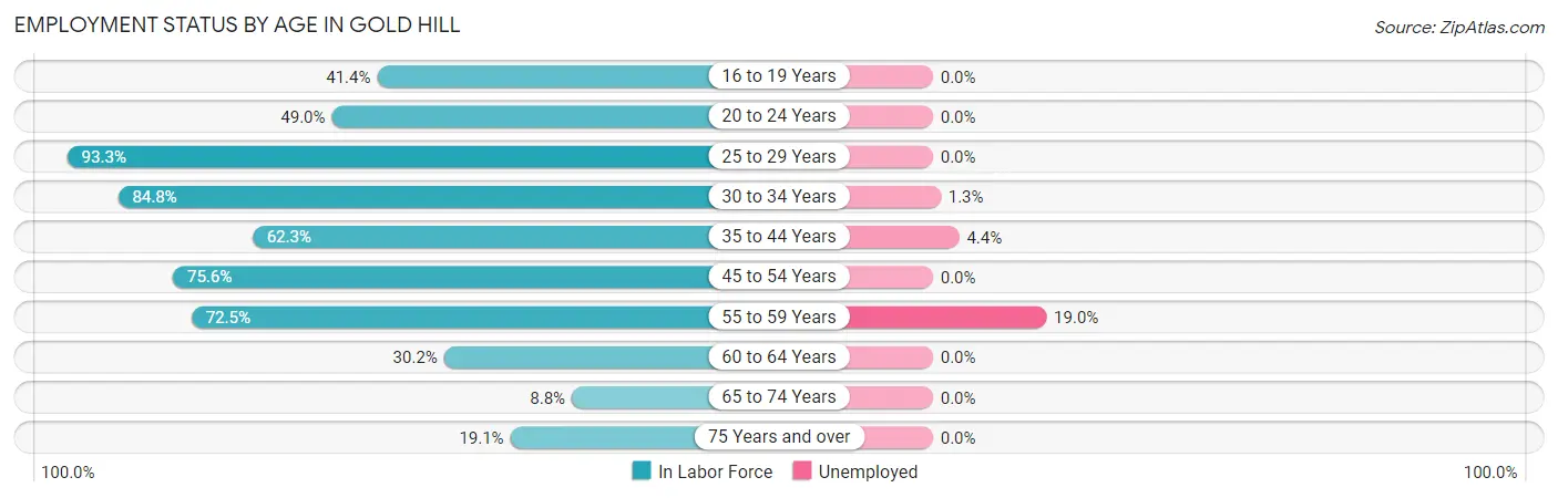 Employment Status by Age in Gold Hill