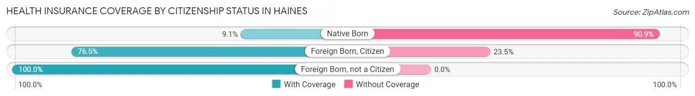 Health Insurance Coverage by Citizenship Status in Haines