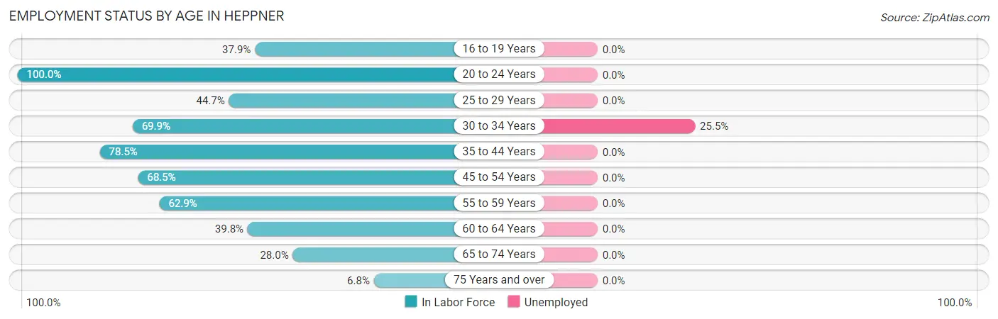 Employment Status by Age in Heppner