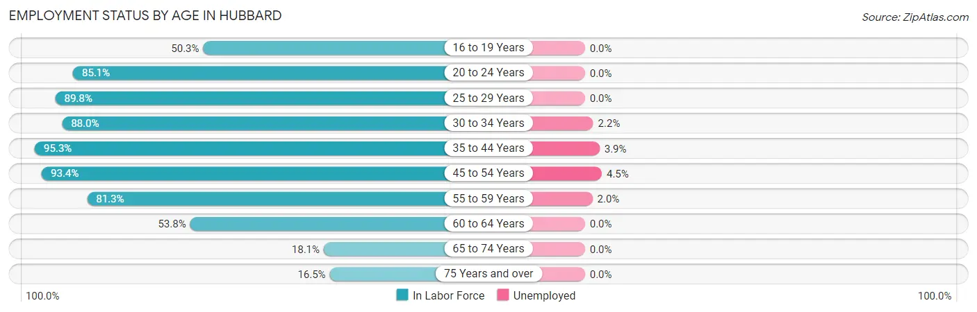 Employment Status by Age in Hubbard