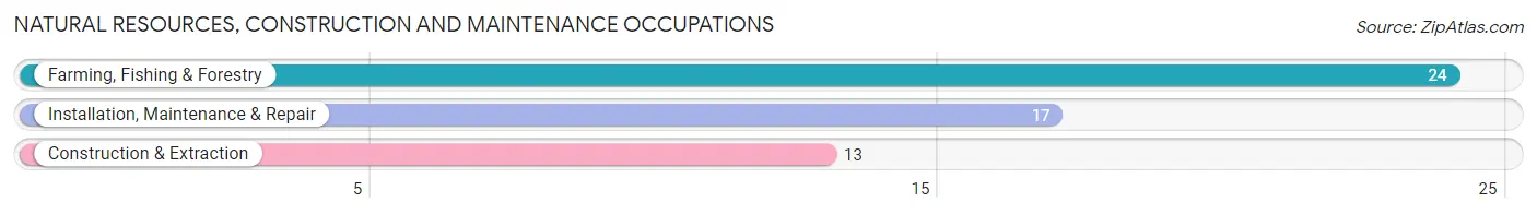 Natural Resources, Construction and Maintenance Occupations in Ione