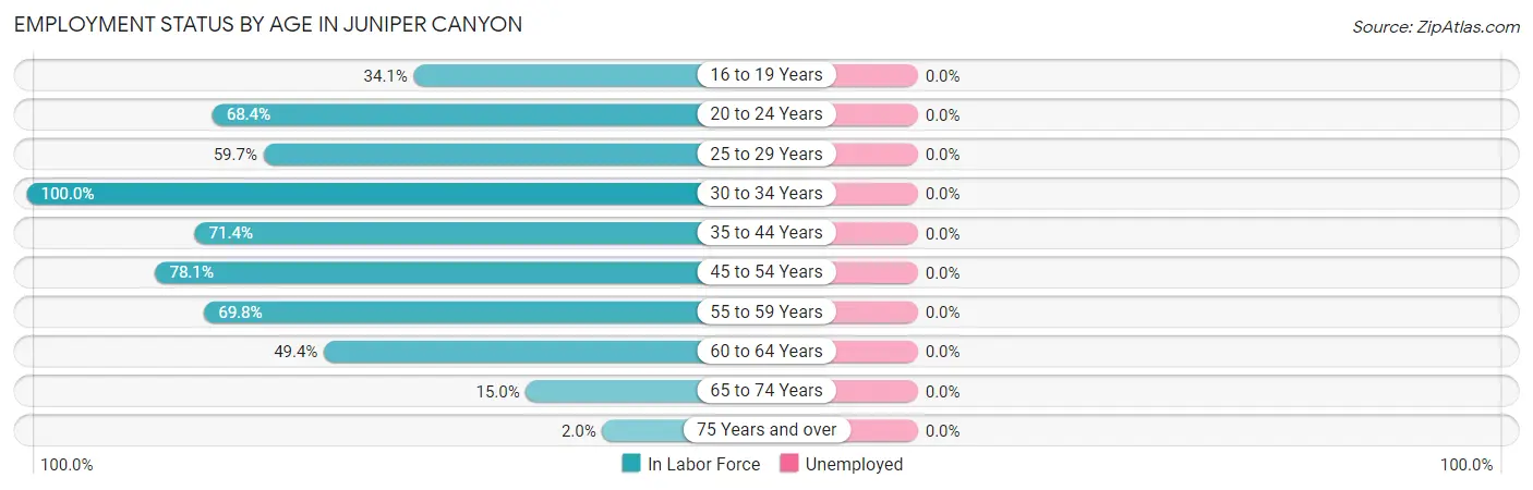 Employment Status by Age in Juniper Canyon