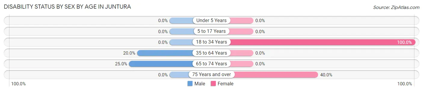 Disability Status by Sex by Age in Juntura