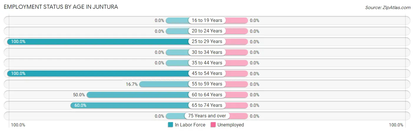 Employment Status by Age in Juntura