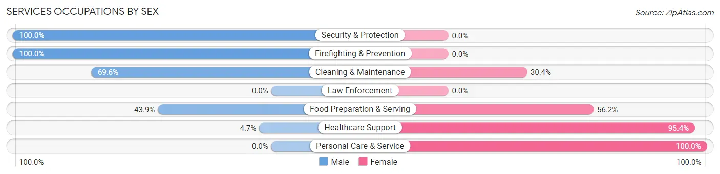 Services Occupations by Sex in Lincoln Beach