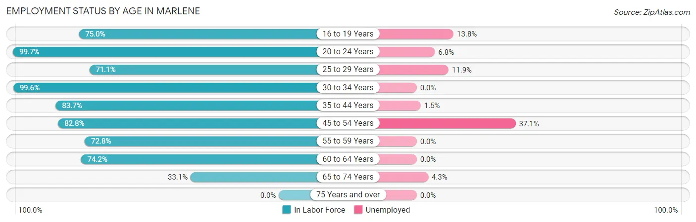 Employment Status by Age in Marlene