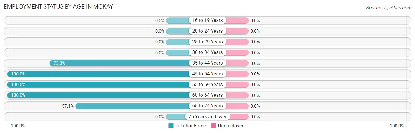 Employment Status by Age in McKay