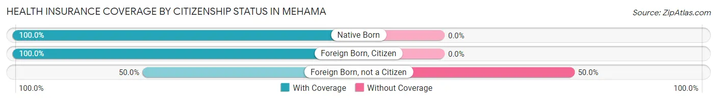 Health Insurance Coverage by Citizenship Status in Mehama