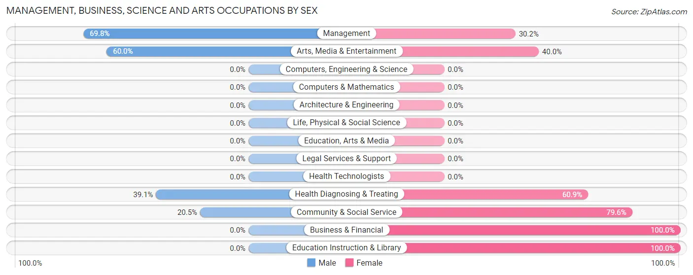 Management, Business, Science and Arts Occupations by Sex in Merrill
