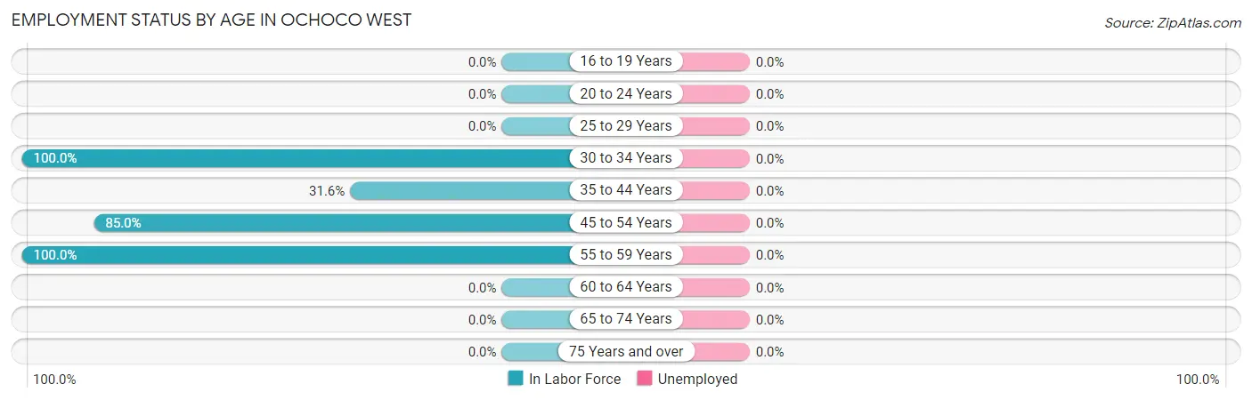 Employment Status by Age in Ochoco West
