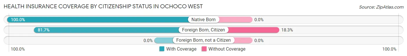 Health Insurance Coverage by Citizenship Status in Ochoco West
