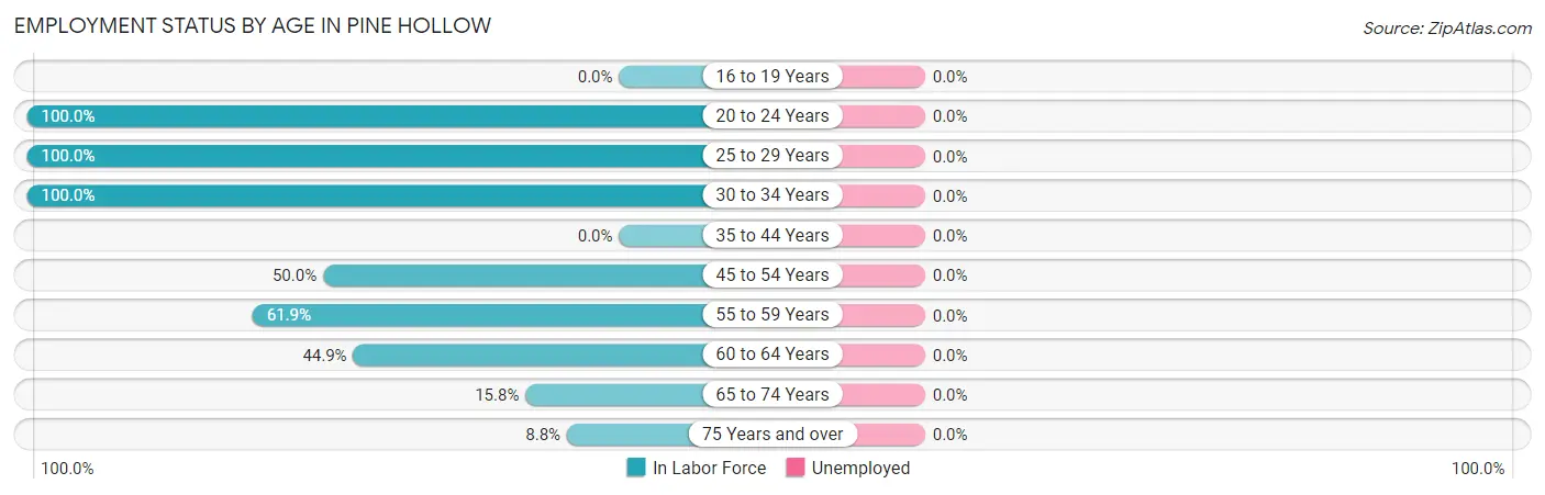 Employment Status by Age in Pine Hollow