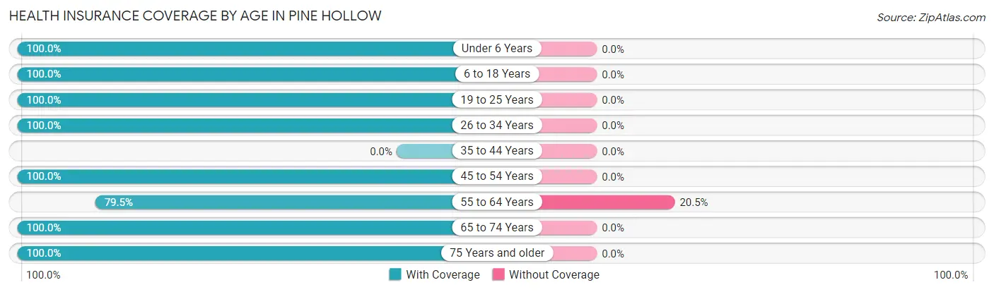Health Insurance Coverage by Age in Pine Hollow