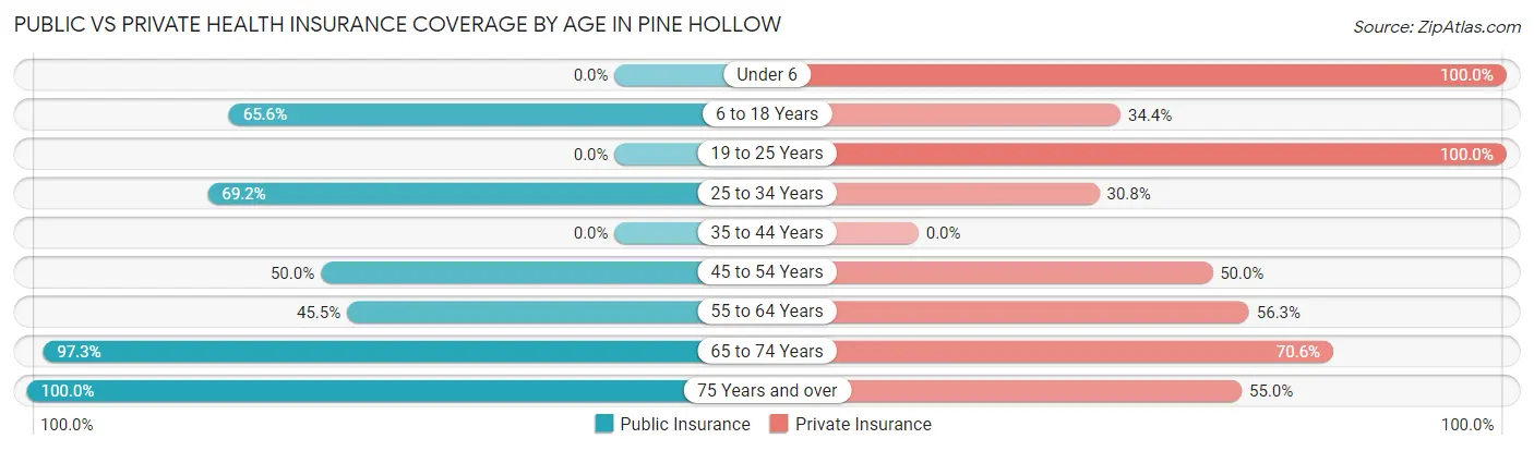 Public vs Private Health Insurance Coverage by Age in Pine Hollow