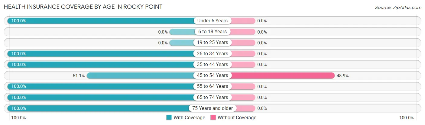 Health Insurance Coverage by Age in Rocky Point