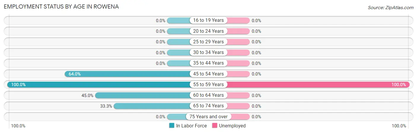 Employment Status by Age in Rowena