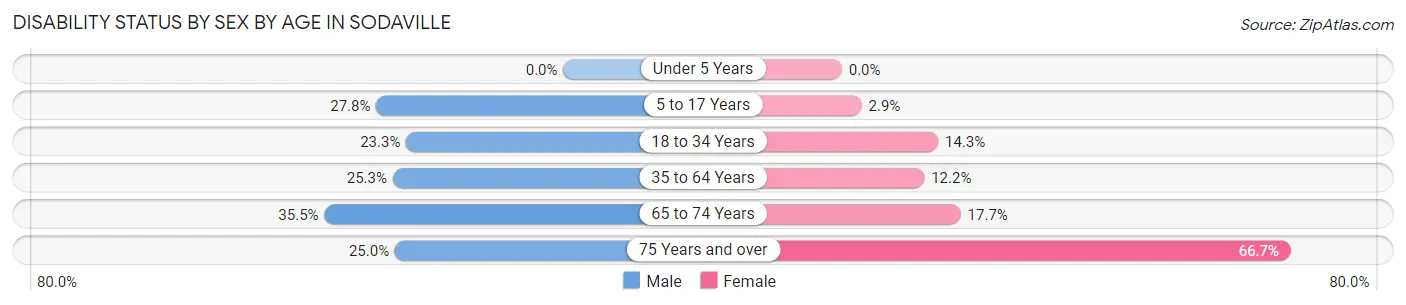 Disability Status by Sex by Age in Sodaville