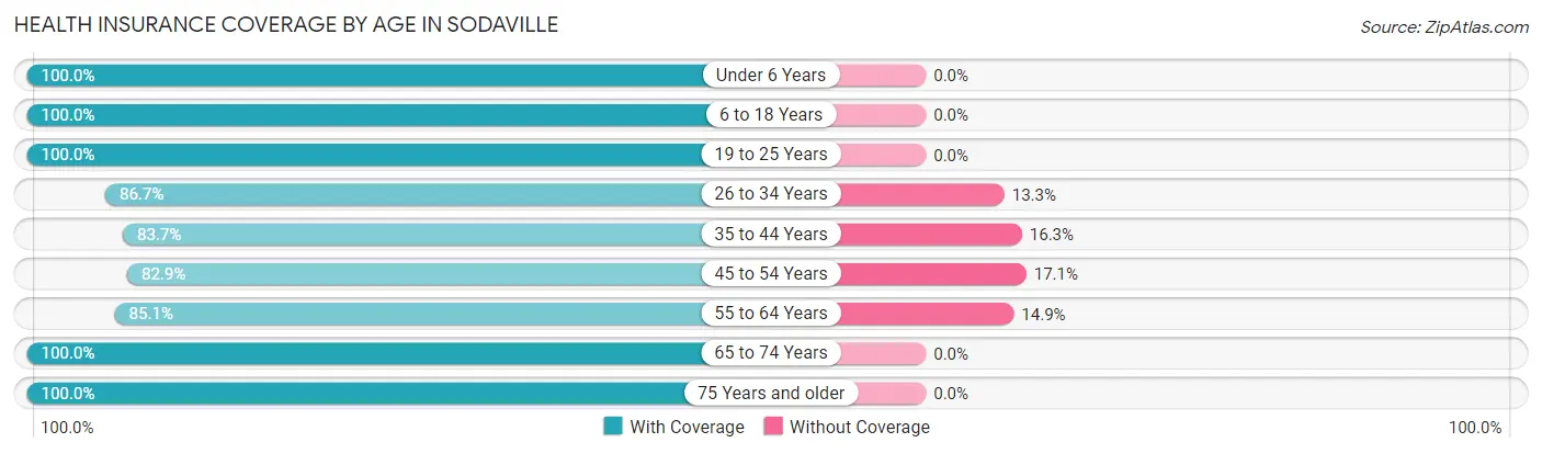 Health Insurance Coverage by Age in Sodaville