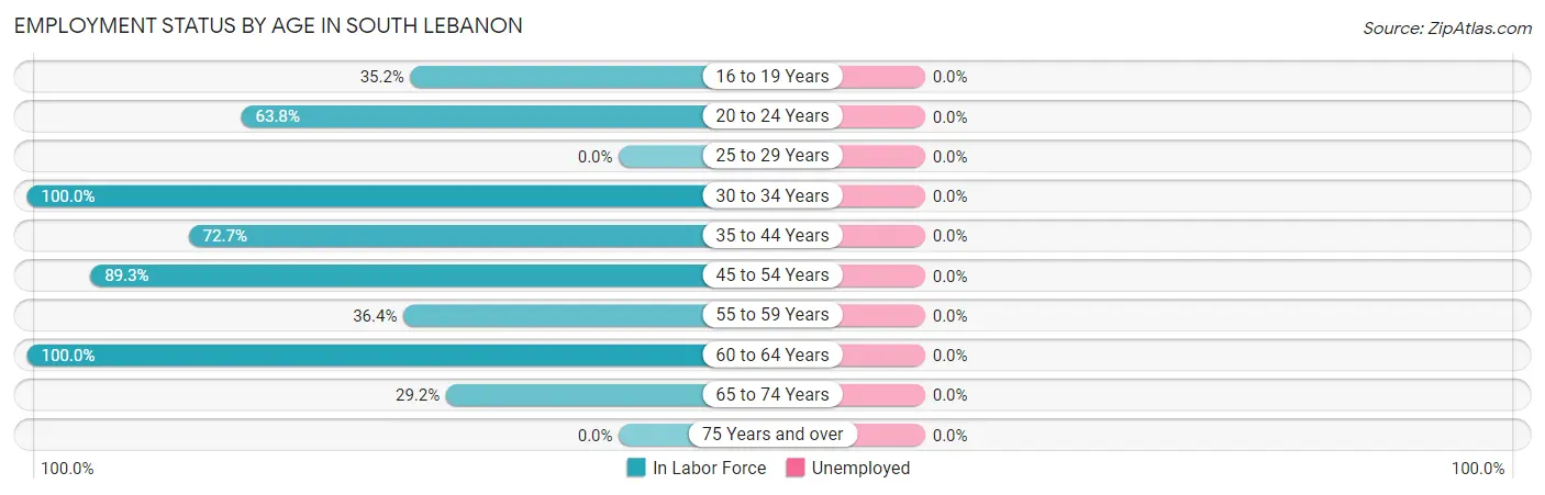 Employment Status by Age in South Lebanon