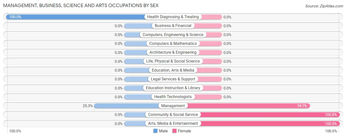 Management, Business, Science and Arts Occupations by Sex in South Lebanon