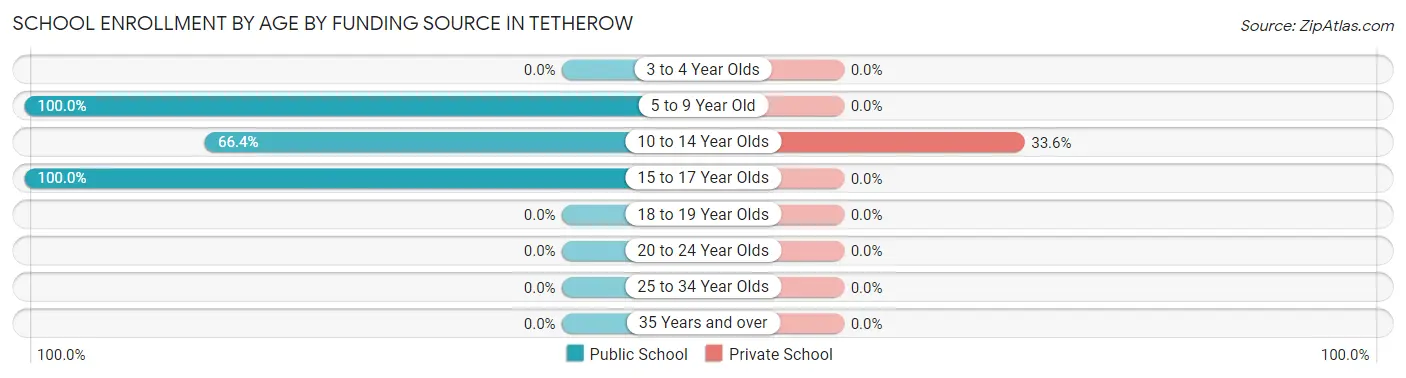 School Enrollment by Age by Funding Source in Tetherow