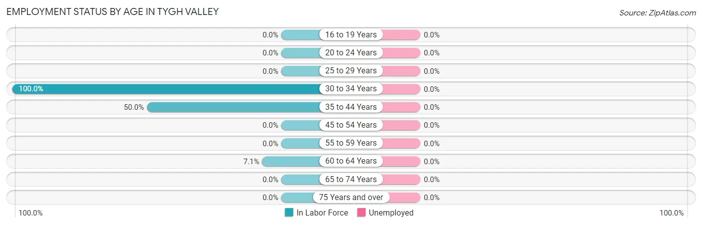 Employment Status by Age in Tygh Valley