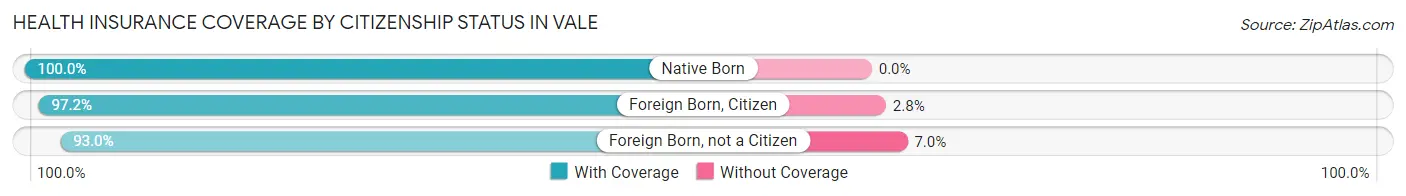 Health Insurance Coverage by Citizenship Status in Vale