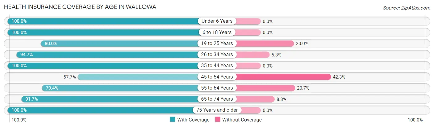 Health Insurance Coverage by Age in Wallowa
