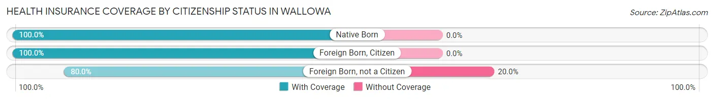 Health Insurance Coverage by Citizenship Status in Wallowa