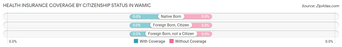 Health Insurance Coverage by Citizenship Status in Wamic