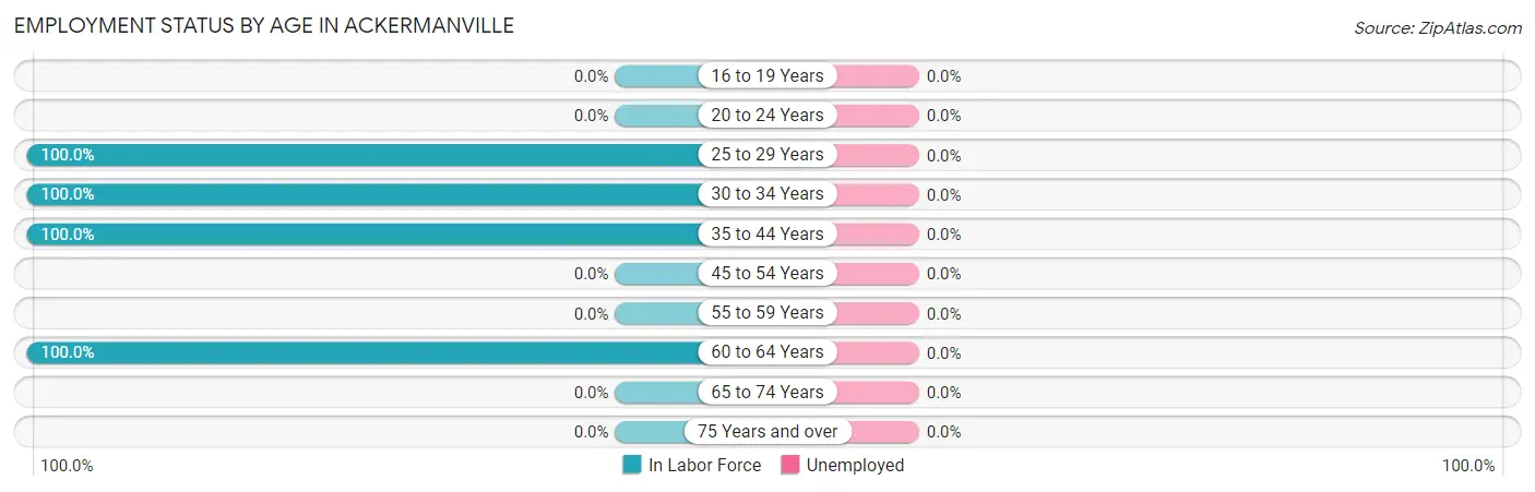 Employment Status by Age in Ackermanville