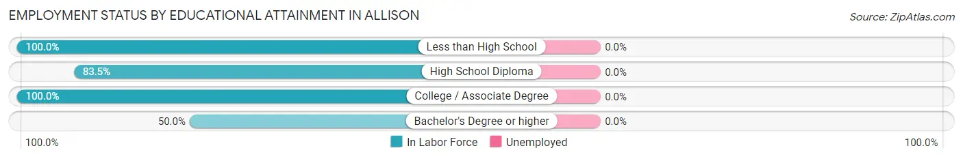 Employment Status by Educational Attainment in Allison