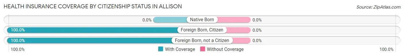 Health Insurance Coverage by Citizenship Status in Allison